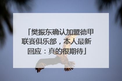 樊振东确认加盟德甲联赛俱乐部，本人最新回应：真的很期待